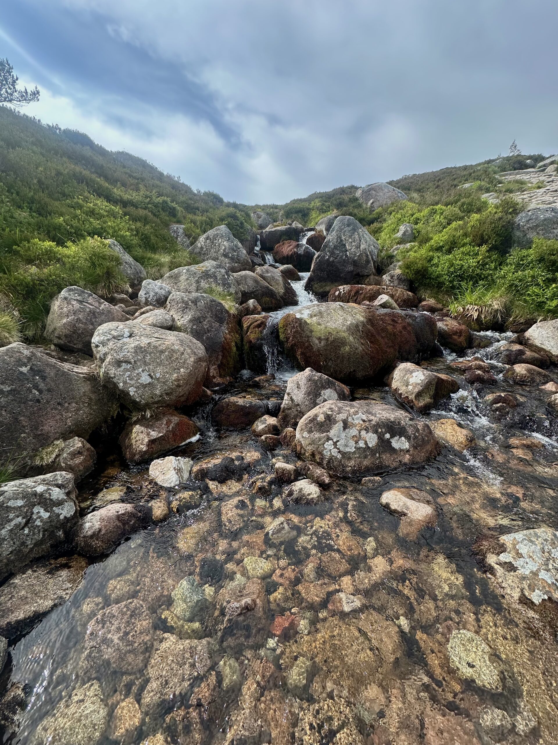 Best Things to Do in Aviemore & the Cairngorms
